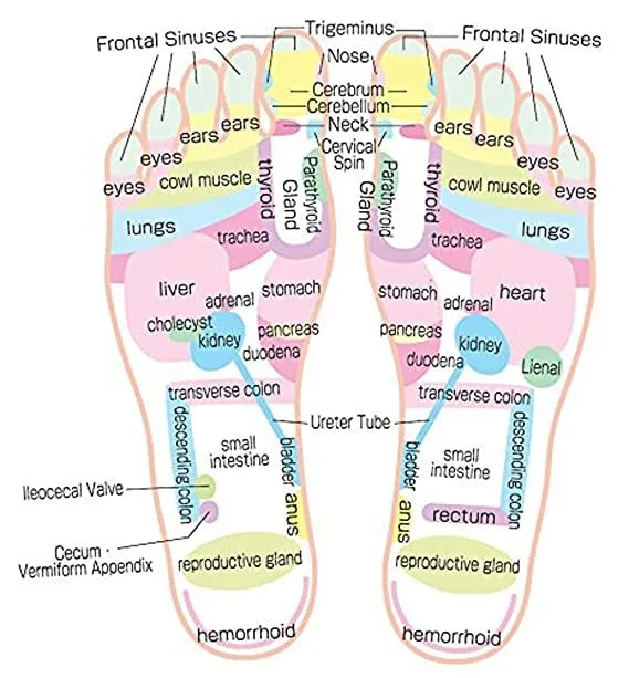 Acupressure Paduka Spring Sandal (M/L)-Code 018-स्प्रिंग सैंडल-Acupressure-Self Massager-Easy to Use-Massager-Activate Acupressure Points