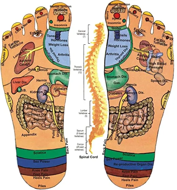 Acupressure Paduka Spring Sandal (M/L)-Code 018-स्प्रिंग सैंडल-Acupressure-Self Massager-Easy to Use-Massager-Activate Acupressure Points