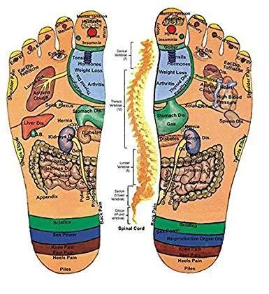 Yoga Paduka/Acupressure Therapy Sandals/Foot Massager Slipper/Acupressure Foot Relaxer/Rotating Acupressure Foot Slippers for Men & Women